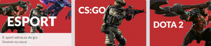 PZBuk - oferta na e-sport